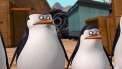 c08504fc-0cc5-4306-8c17-029139a8cdc0