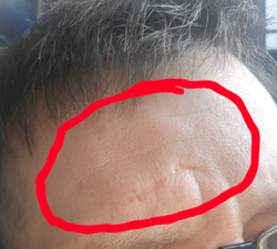 0a4f60a4-6543-4291-947a-cd9d9a0aee53