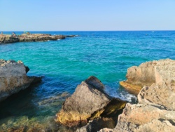 05bd3af6-63f9-4d61-9799-01abaf7d53d7