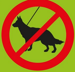 4be56f99-41e6-4f3c-b2fc-07625516a81d