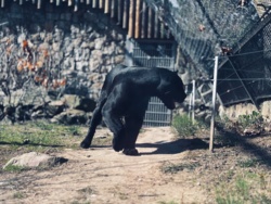 d1d63386-77a6-4450-b301-a1a1ea990a7f