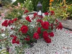 84987950-72e0-4ed3-98f0-70ab4a39cabc