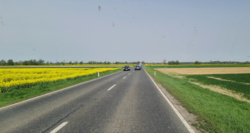 c3efc371-cb92-4978-81d7-64d38b39b581