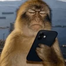 fdf508e7-ca01-4dff-b2ff-f180cc279455