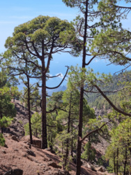 3899556f-9659-4c14-97cb-942e73f10880