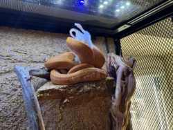 85c98dd2-5ccc-4c15-b9a1-7e934d6ed049