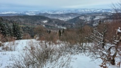 10c7a007-96aa-499a-9d6f-0f111cbf00c9