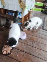 a9f74500-55d6-401f-b9cf-ccdc20f0a44e