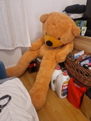 6f489cf1-a569-43fe-a16b-873378819ae2