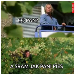 3a21f02a-4631-4387-8e19-a7736b506560