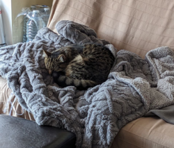 f2604b26-f30c-49aa-b949-798d2fac50c4