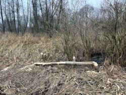 17ceb912-f9d2-478b-9a0a-c4cf2205a348