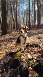 65d9d322-704b-4940-95a4-e645b96af56d