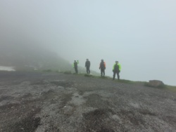 8d1ee2b2-120f-4e16-9b9a-586a176c6ae4