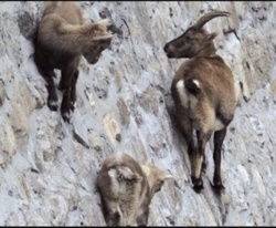 651e4c69-196d-4c67-a427-d1421282fa3c