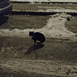 1fff537e-f2fc-4e3c-80e4-d608589d7e6c