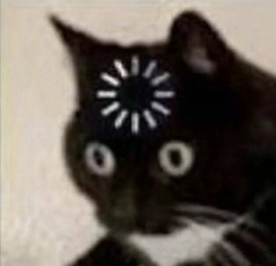 a8b11895-0002-4750-bb59-fd4009d54669