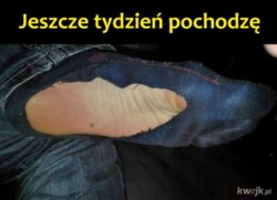 2e15e48e-4fa9-4dcb-901e-9bd40f894fd8