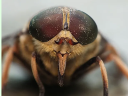 92f4b298-58f3-48a5-a384-6096c9679191