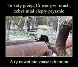 5656b7b9-16ee-44e0-84e1-67fa938be9e2