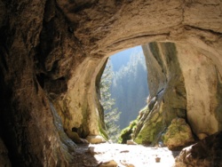 25fbac6a-391c-401b-a9dd-f188c2f9eca8