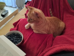 8e806b81-9715-4160-a1e3-f0896a9e2b38