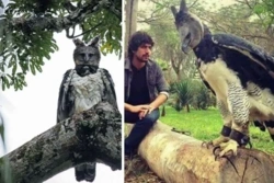 1fea7340-359d-480f-8caf-df174a227ce5