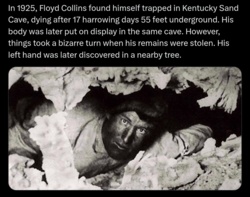 1a0a5d02-e482-42d7-92d0-6ae2fd14d36e