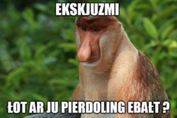 afddbc25-6661-4246-9e84-b60b6d6893d8