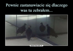 b81f34d7-3a11-4d42-9cc0-e525989e5c32