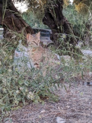 2d78f89c-ba82-4fc2-ab95-e4d7522ddd54