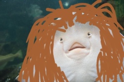 12731832-2ac8-4369-b31e-3614ff37c4aa