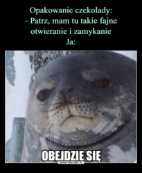 b15b46df-afd6-45fe-8805-7ac08e222b71