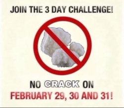 36a0481c-788f-4bac-acfe-dd98b51da866