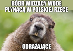 a3953ffb-96cc-4b13-9f3d-1dfa7ee77a86