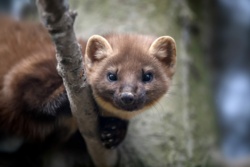 16b13f7d-2f33-48bf-821d-b09297c90faf