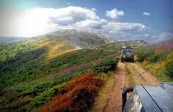 602d40b9-914e-414a-9a9f-2c840bdbbfd5