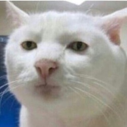 1723579c-6511-41be-8362-1bb166ad9dfe