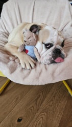 070f72b3-333c-4945-b744-475ea286271d