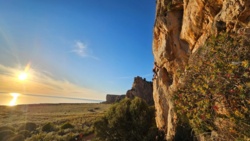 4269925b-2a05-49a2-9948-63f9c654b658