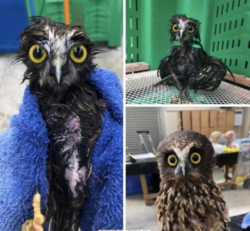 26d90ec6-ea9f-491a-bff5-d84c43b4aba5