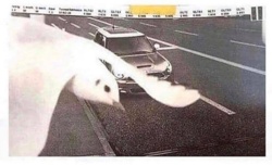 64eb1792-ff3a-4dbc-956f-ff227c65e8a5