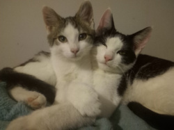 5adb501d-9106-49b3-b184-1a6418f2c55d