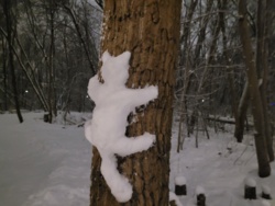 7567bf97-a7cf-4e4b-9da5-ff7b43d43071