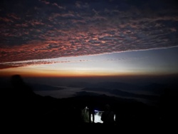 847ac396-0469-4e51-ad5f-d35f35be9807