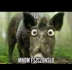 1a35184b-400a-40a4-bf33-6e1cceff386f