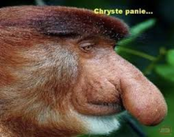 40fa6735-477d-4e69-8109-7ba20f4eda80