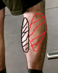 5d94e527-dd03-460c-9bd7-f8acde6236b5