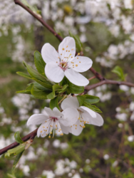 287ad456-c1bb-400d-9d31-060c934a1dd2