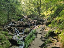 8c218348-8bc9-42b1-a05e-089c1d0b148c